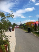 2017_Sommerfestival_Petanque_7