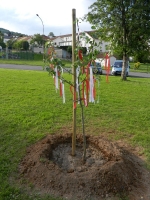 30. Geburtstag der Partnerschaft_23