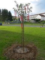 30. Geburtstag der Partnerschaft_25