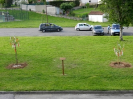 30. Geburtstag der Partnerschaft_26