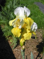 30. Geburtstag der Partnerschaft_54