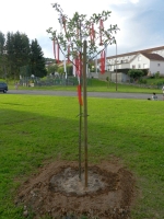 30. Geburtstag der Partnerschaft_94